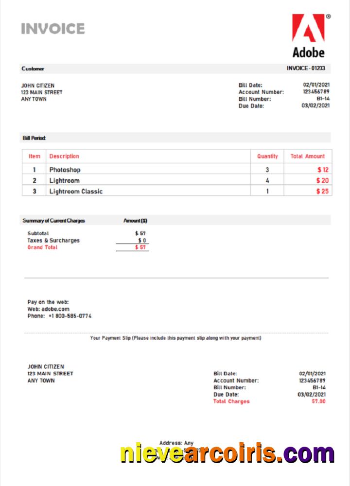 USA Adobe invoice